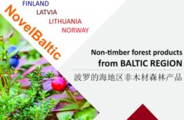 NovelBaltic projekto “Baltijos regiono autentiški, į rinką orientuoti ir komercinį potencialą turintys miško produktai – laukinės ir pusiau kultūrinės rūšys (išskyrus medieną)” lankstinuko pristatymas