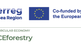 Interreg Ceforestry projekto rezultatų sklaida